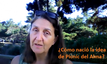 https://www.picnicdelalma.cl/wp-content/uploads/2021/04/Idea-de-Picnic-del-Alma-e1618272523666.png